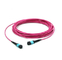 MPO to MPO Fiber Optic Patch Cord 12 Fibe LSZH Trunk Cable 3.0m Low Loss MPTO Trunk Cable