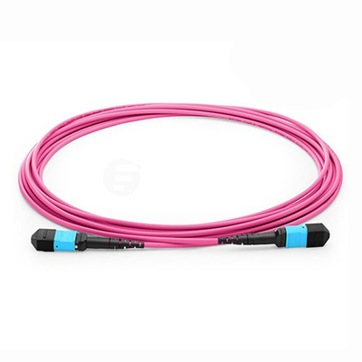 OM1 OM2 OM4 Multimode MM MPO MTP Trunk Cable