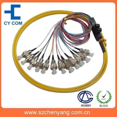 FC/SC/ST 12 Core Ribbon Packing Fiber Optic Pigtail