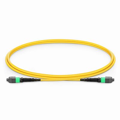 品質 MPO ジャンパーケーブル 800G QSFP-DDトランシーバーとG用0.35dBローIL657.A1 柔らかい繊維 工場